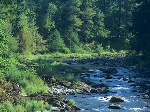 Columbia River State Park