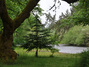 Tiger Mountain State Park